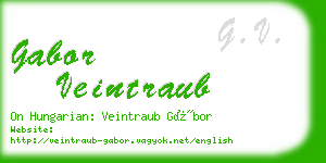 gabor veintraub business card